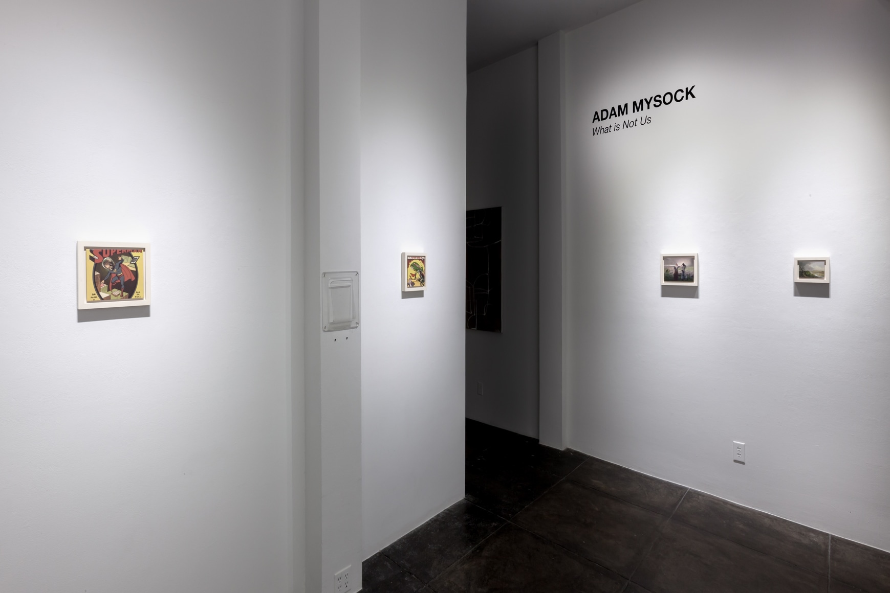 ADAM MYSOCK What is Not Us