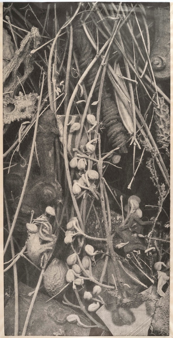 RICHARD HRICKO Wunderkammer, 2017