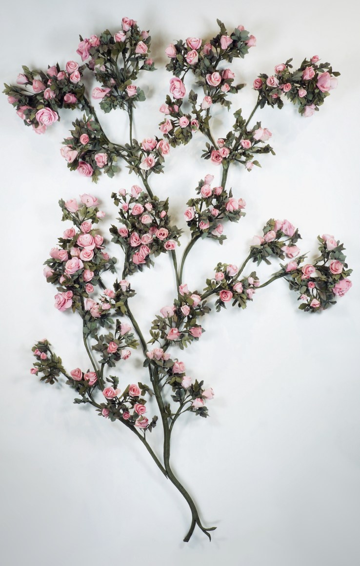 CARLTON SCOTT STURGILL