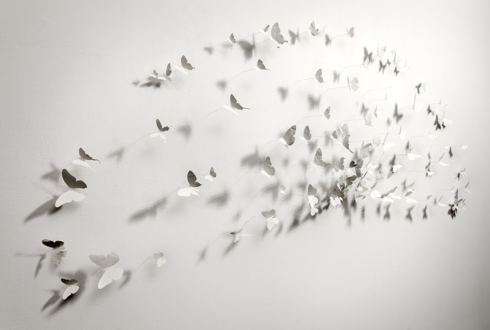 PAUL VILLINSKI, Radius&nbsp;[detail], 2017