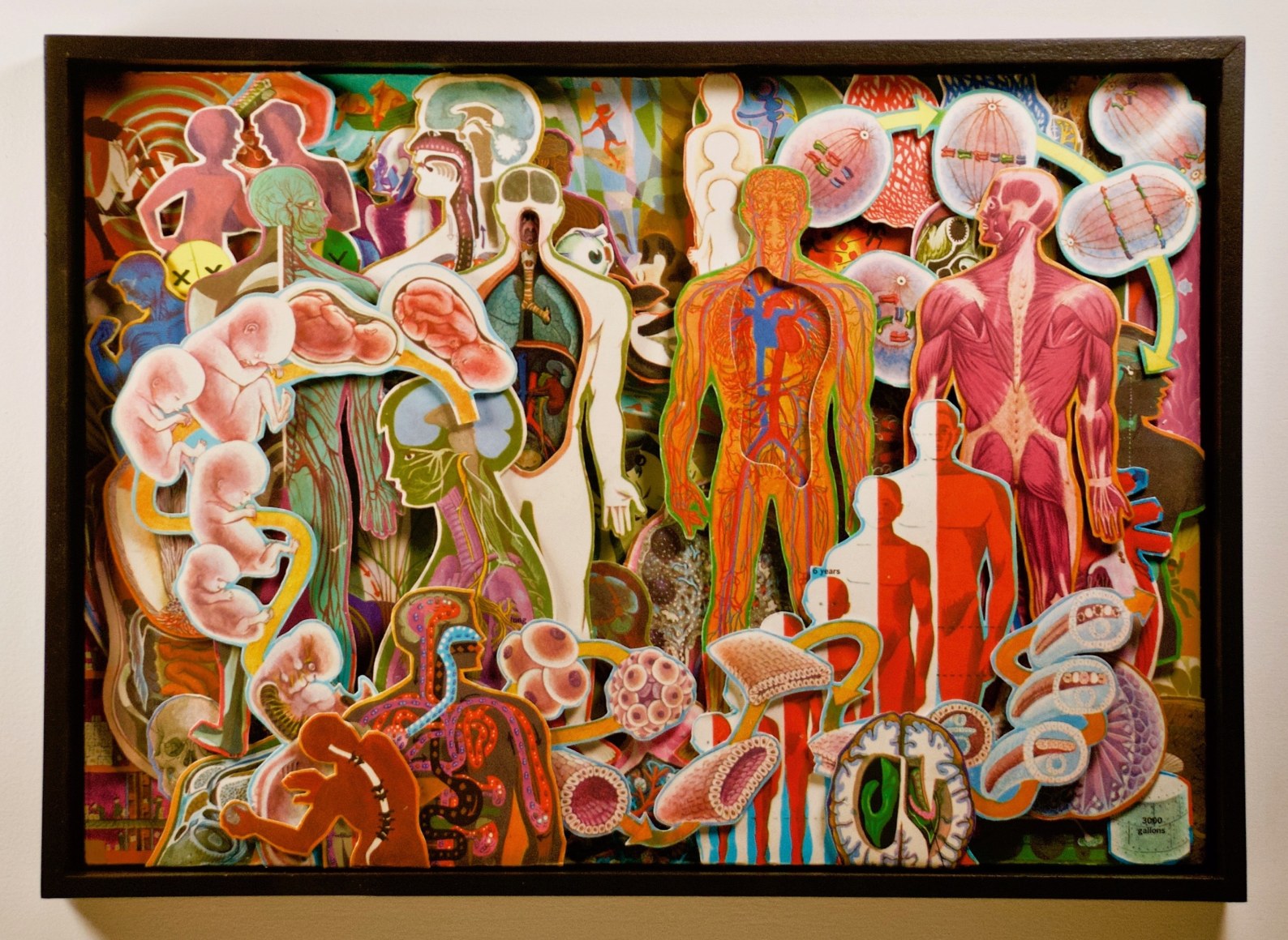 TONY DAGRADI, Inside Out, 2022