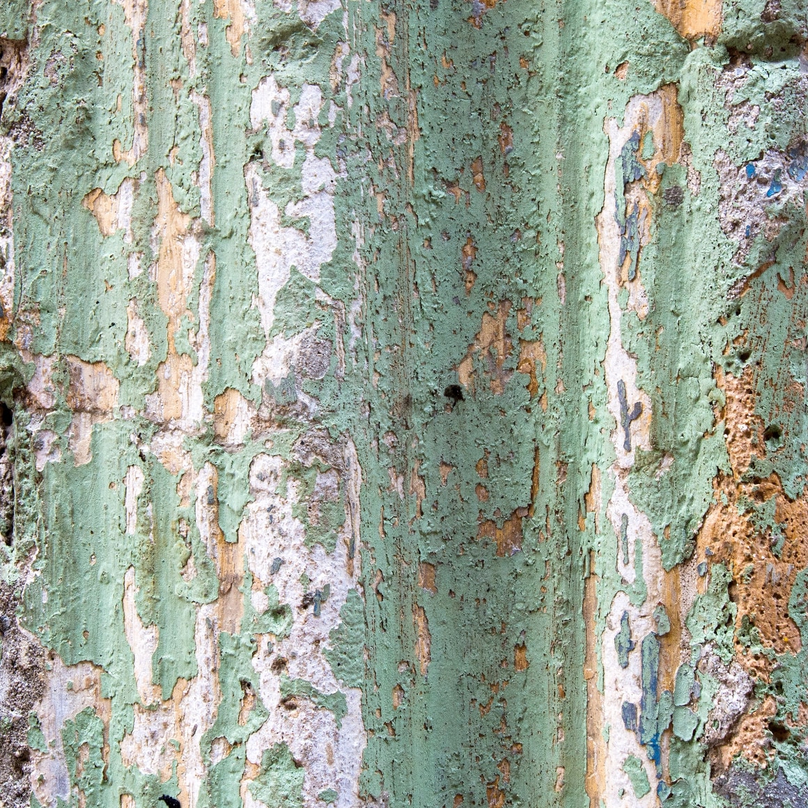 JENNIFER RICO, Havana Pantone, Verde Muralla, 2018