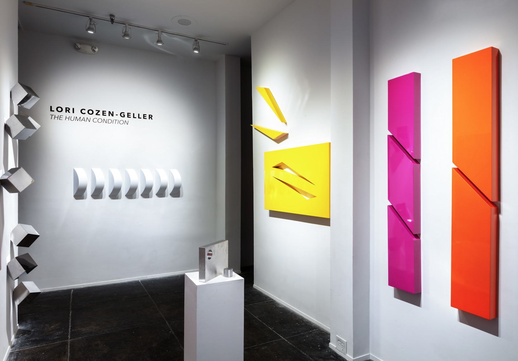 LORI COZEN-GELLER, THE HUMAN CONDITION