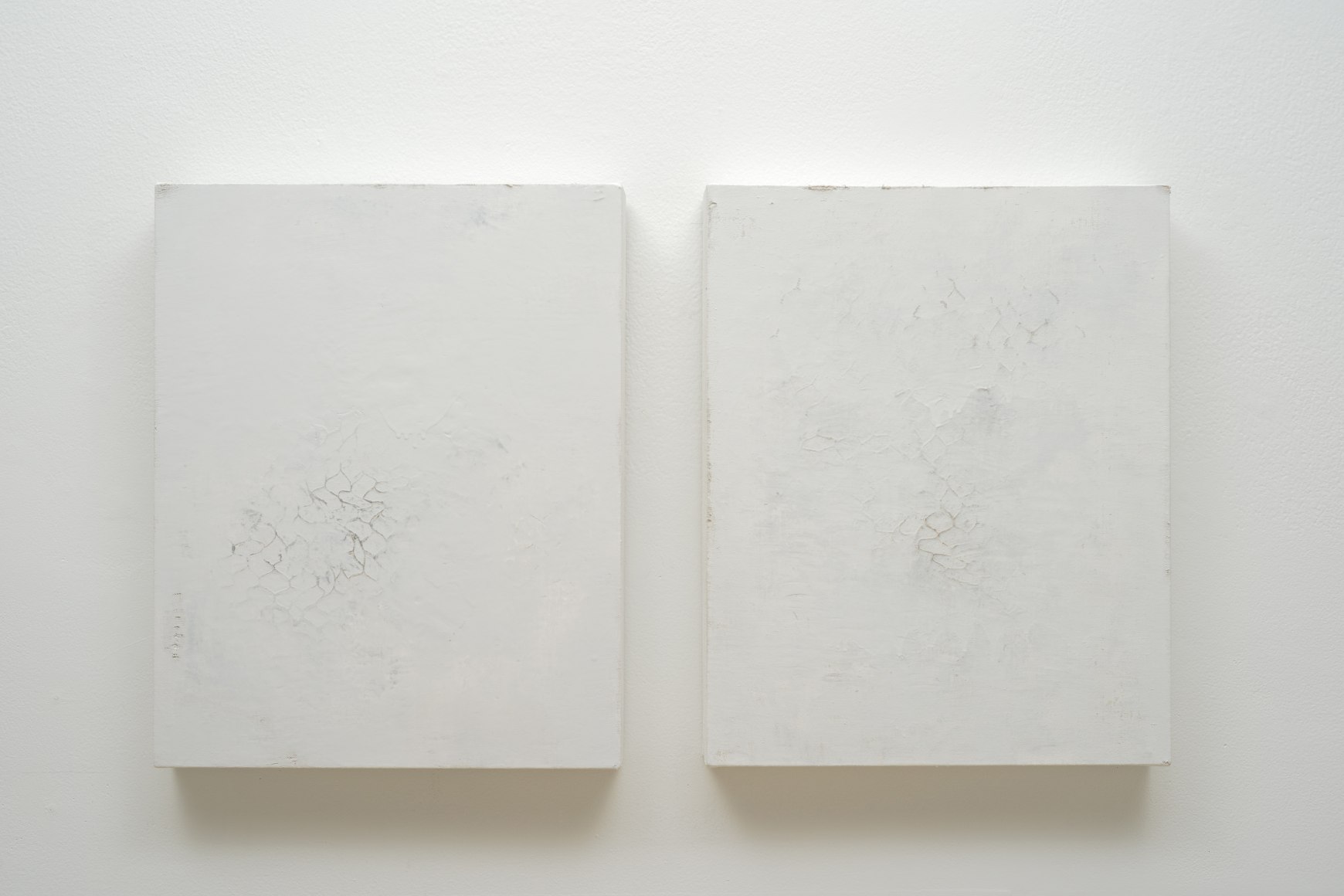 SIDONIE VILLERE Diffuse&nbsp;[diptych], 2014