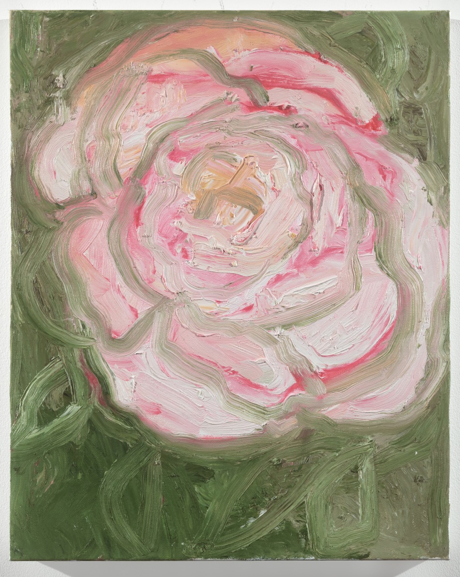 MARGARET EVANGELINE, Backyard Camellia, 2024