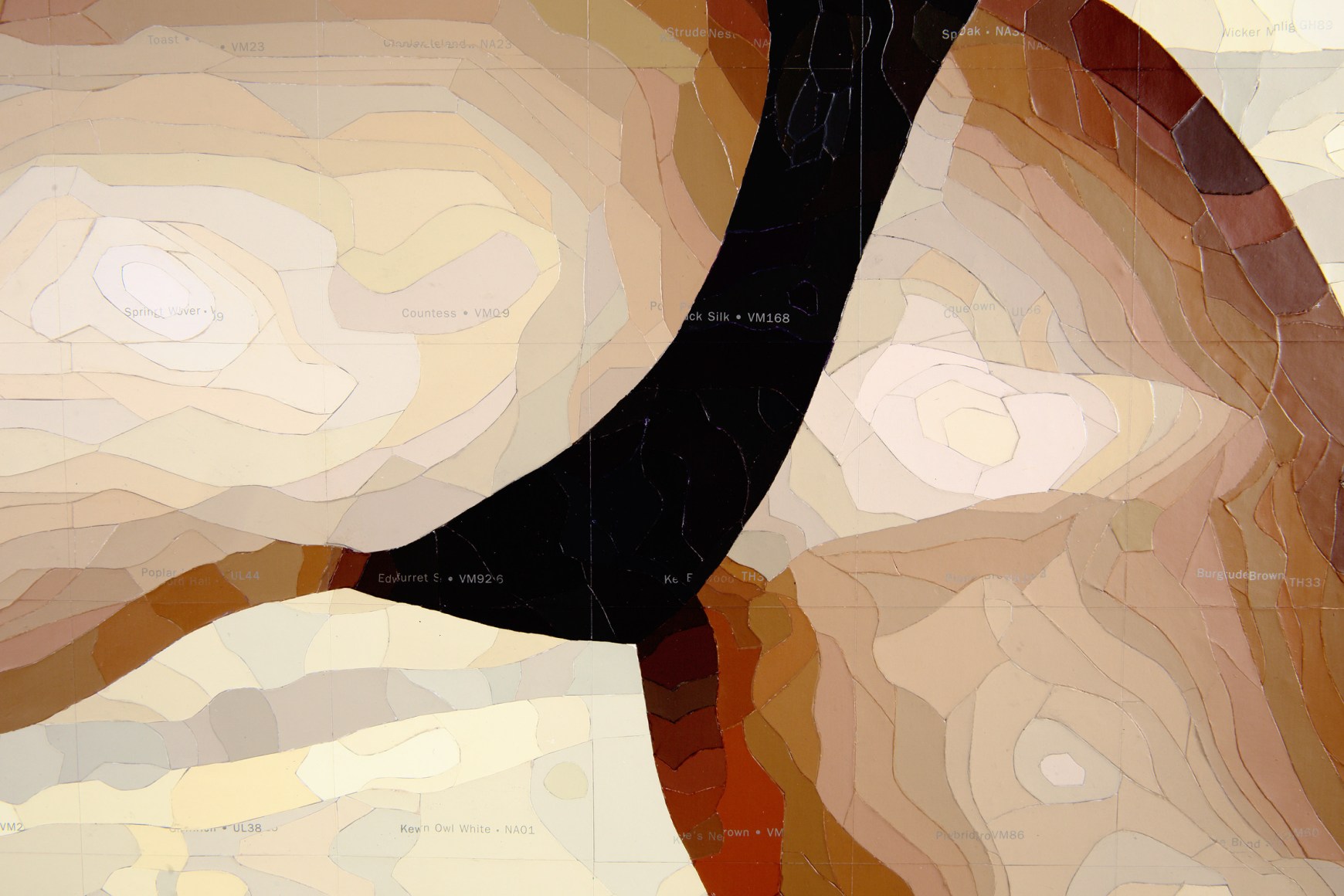 CARLTON SCOTT STURGILL
