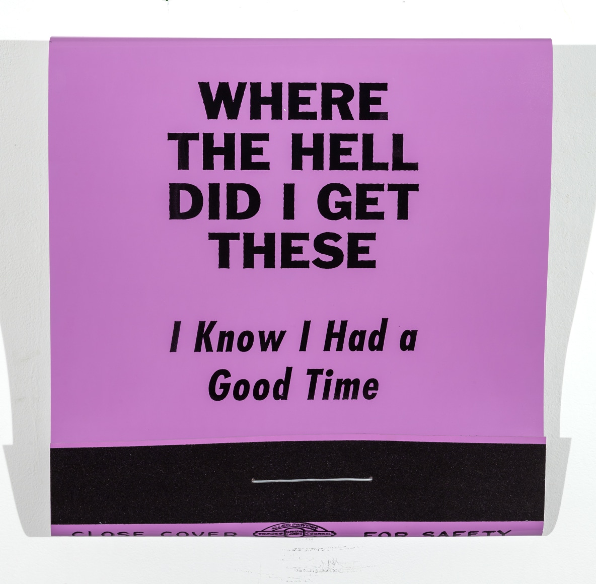 SKYLAR FEIN Where The Hell Did I Get These, 2015