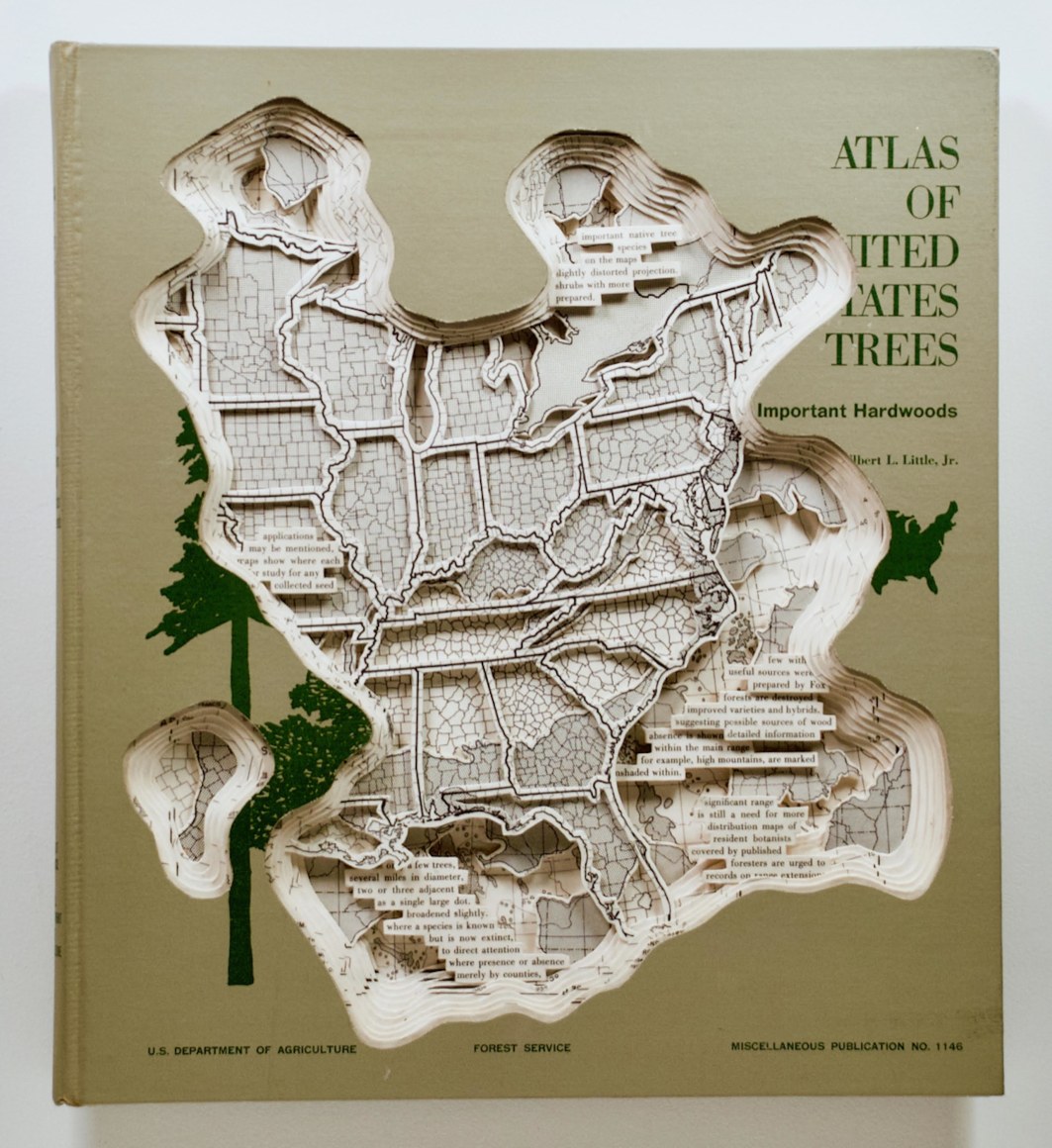 TONY DAGRADI, Important Hardwoods, 2022