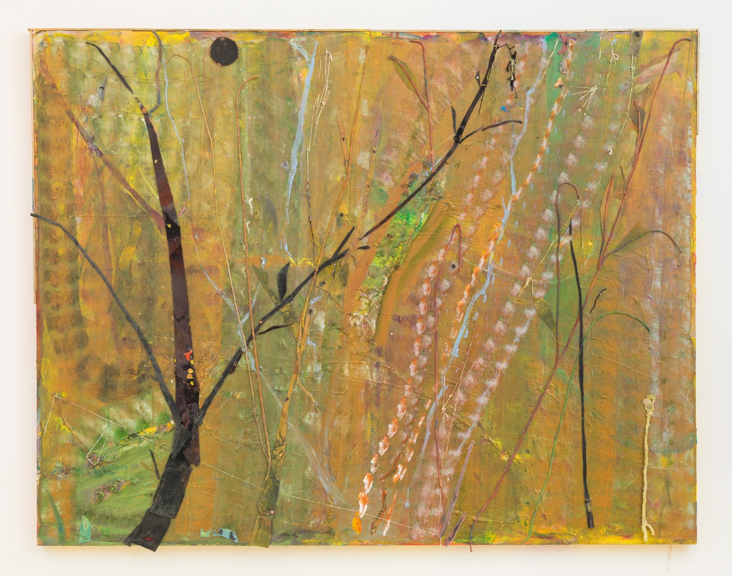 Fern Garden, 2014