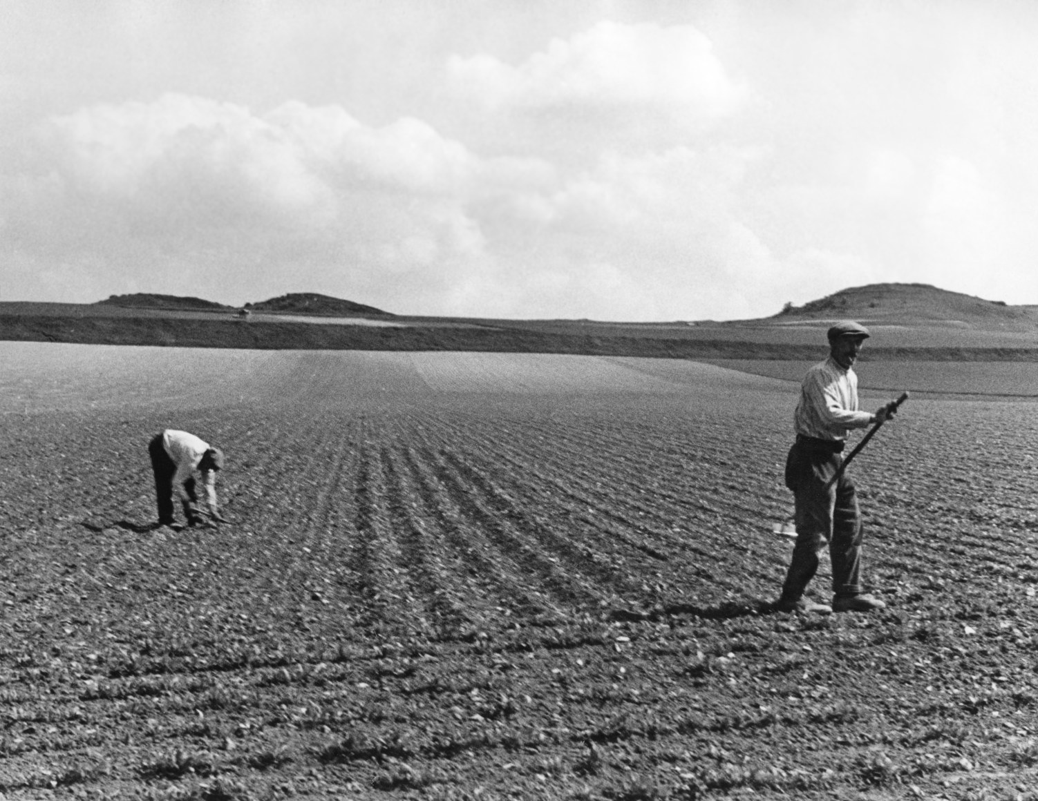 &nbsp;, Farmers in Field, France, 1938