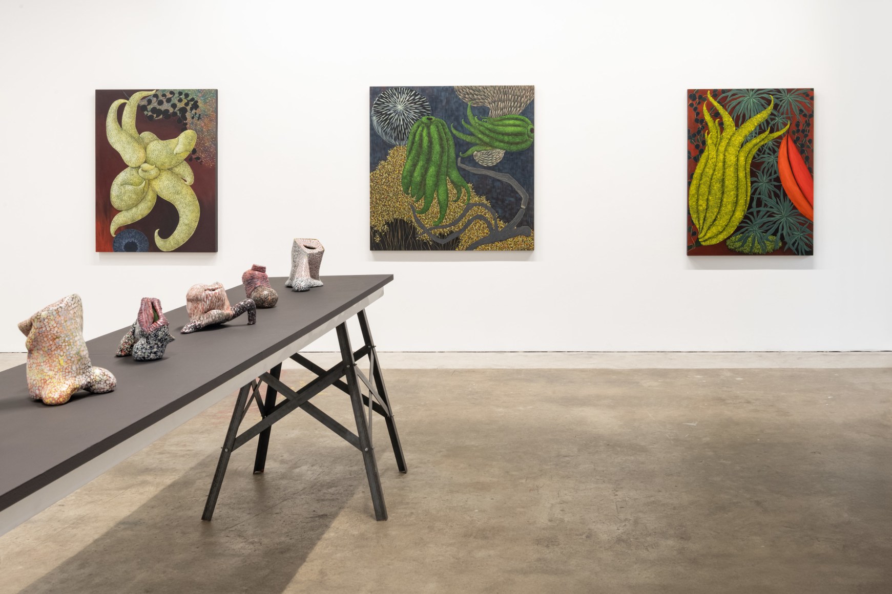 Installation view, Lynda Dann / Elisa D'Arrigo, 2024.