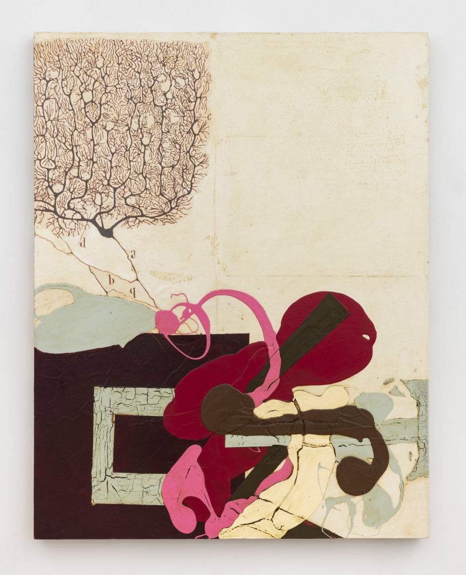 Katherine Sherwood, Cajal's Revenge, 2007