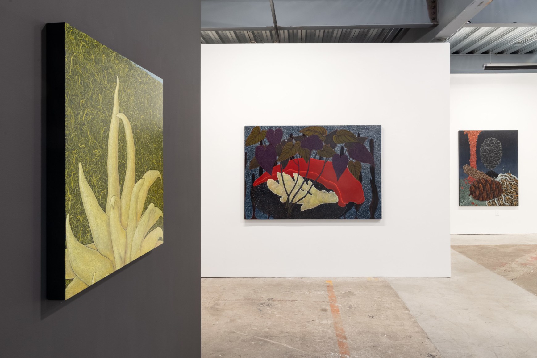 Installation view, Lynda Dann / Elisa D'Arrigo, 2024.