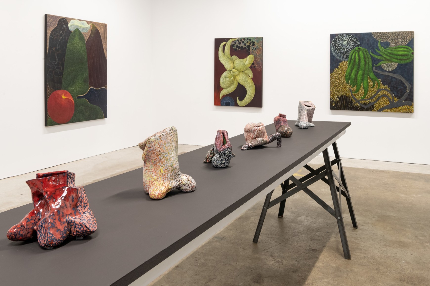 Installation view, Lynda Dann / Elisa D'Arrigo, 2024.