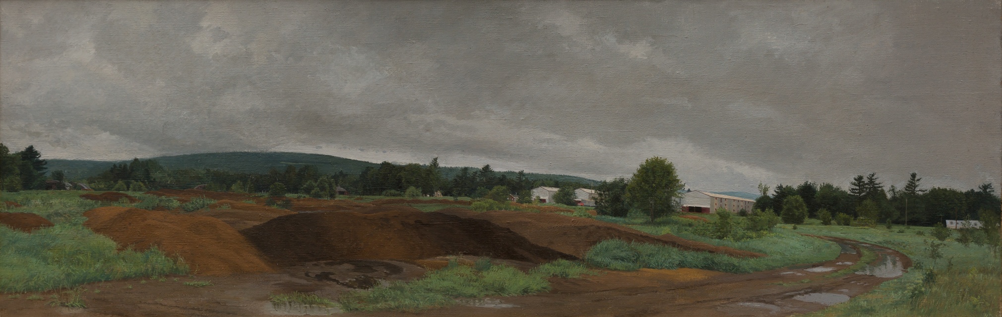 Image of dirt road, plantation with dug-up dirt, and warehouses and trees in background