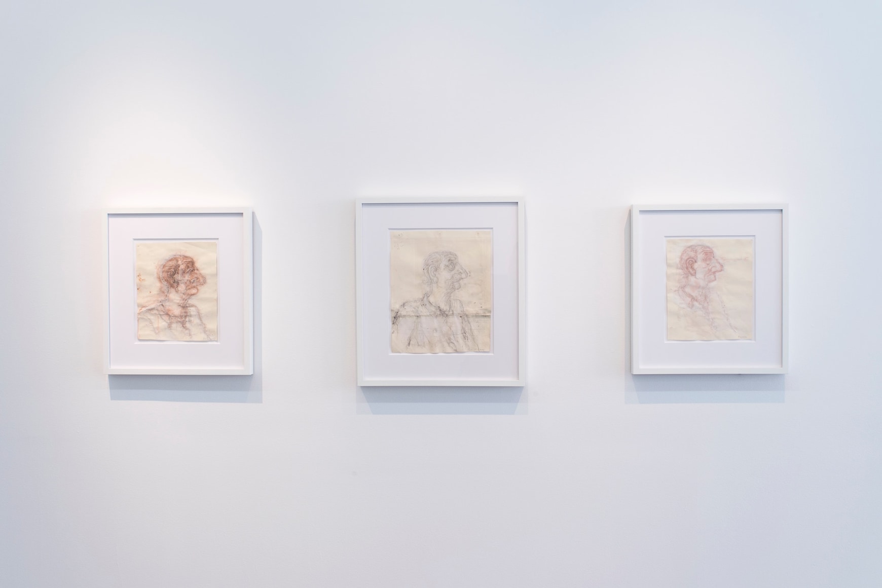 Installation Photograph