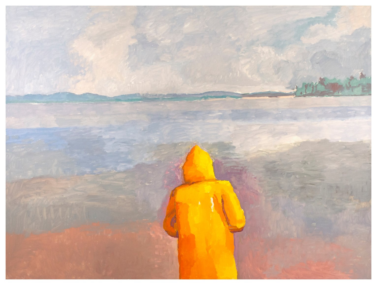 Maine Gray: Yellow Jacket