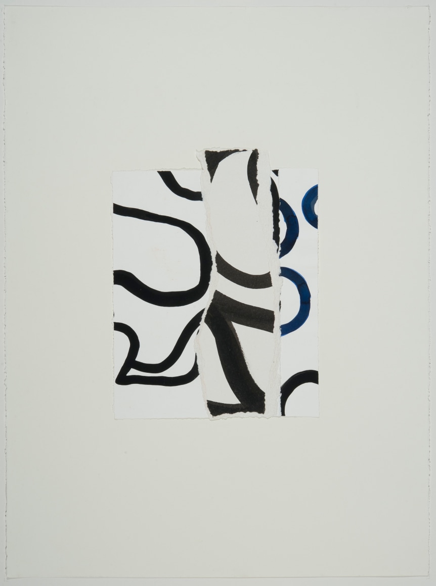 mullticolored collage