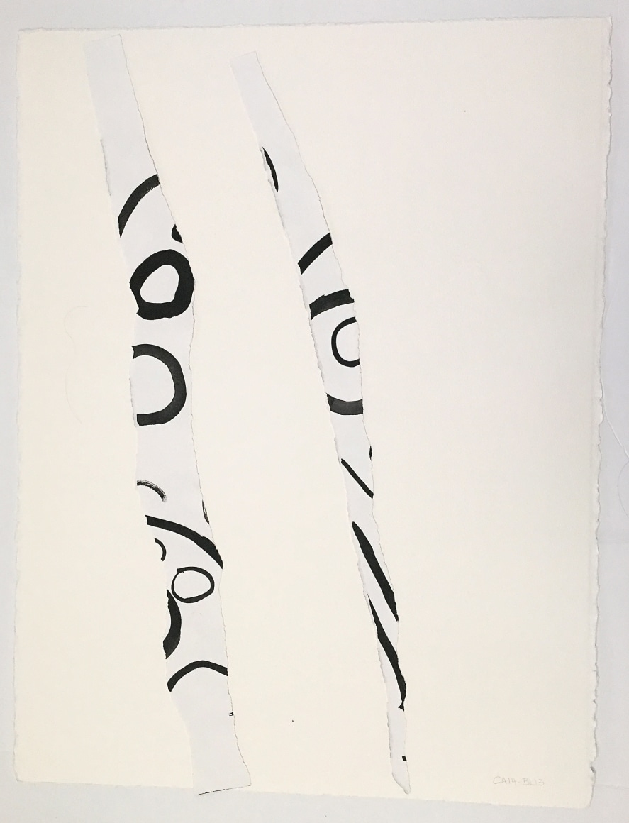 mullticolored collage