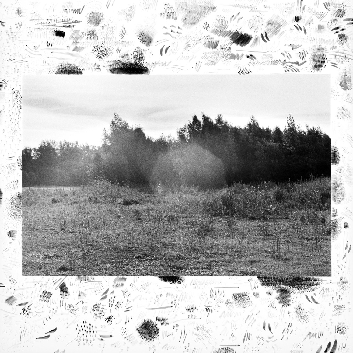 Hamann - l&auml;ufer 21