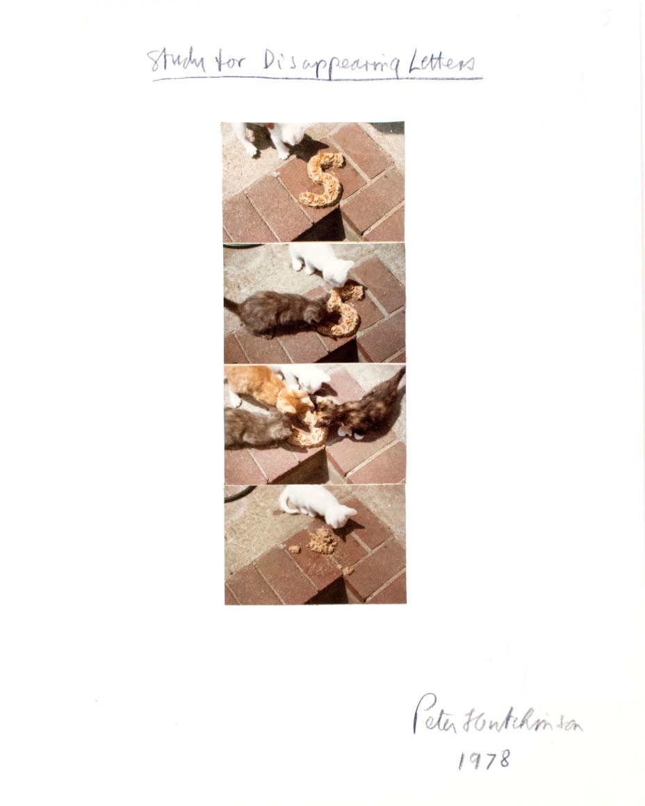 Hutchinson - Study for Disappearing Letters