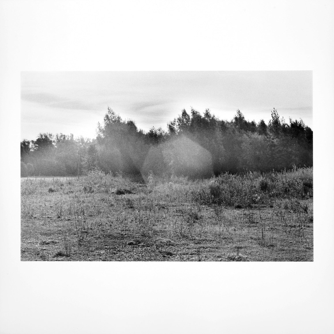 Hamann - l&auml;ufer 11