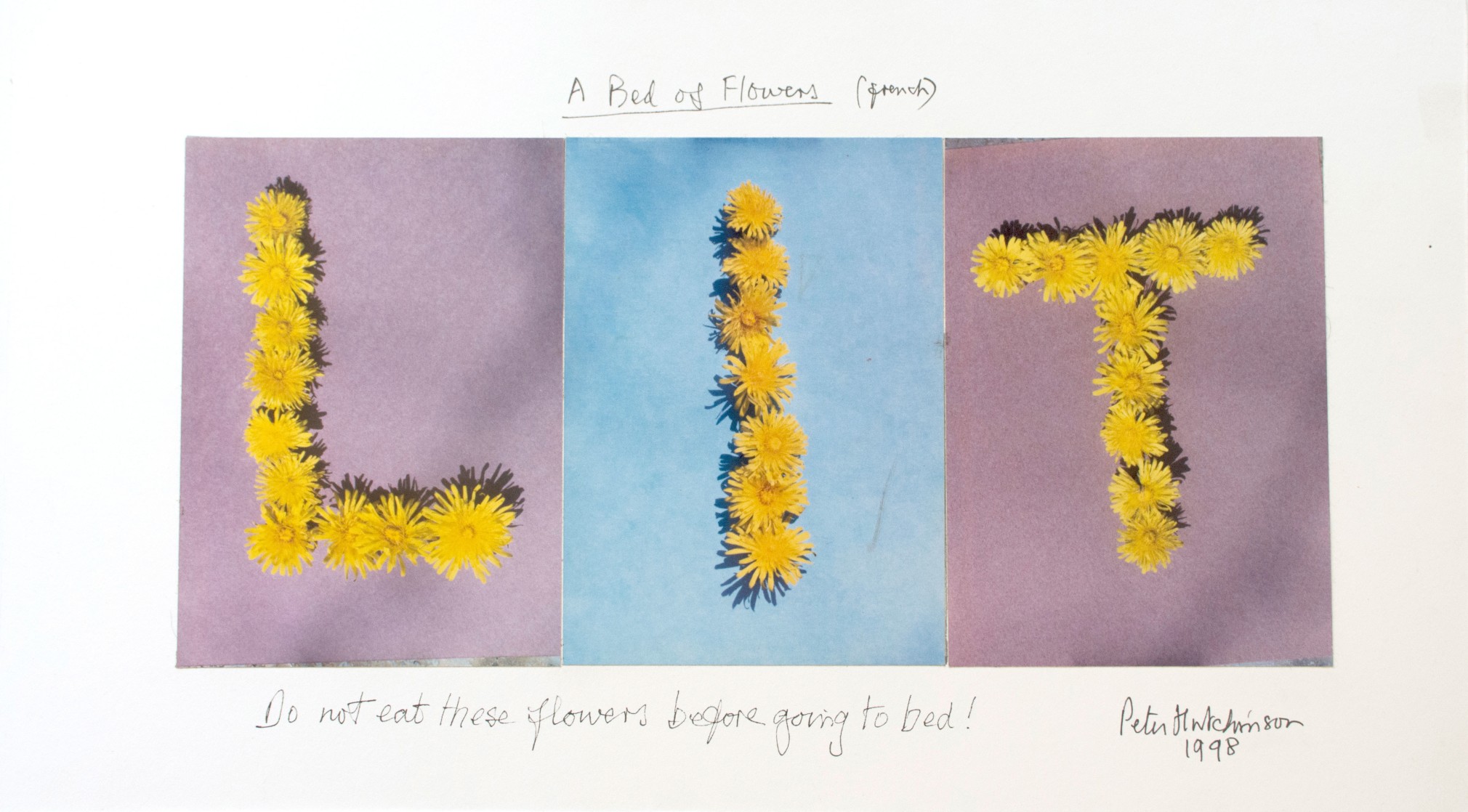 Hutchinson - A Bed of Flowers