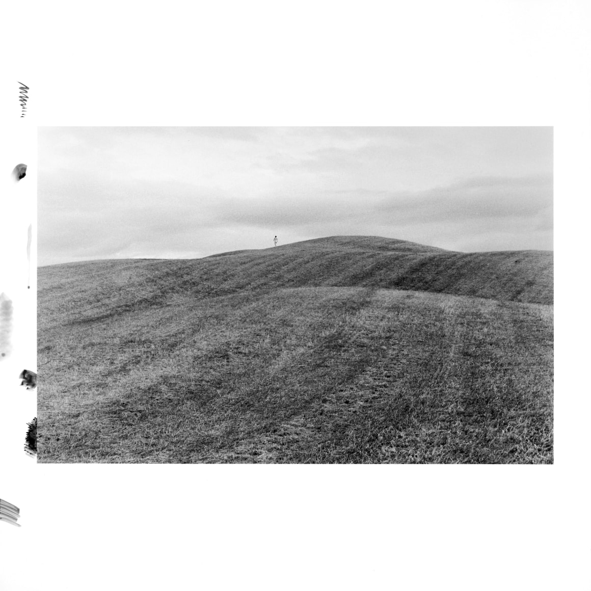 Hamann - l&auml;ufer 3