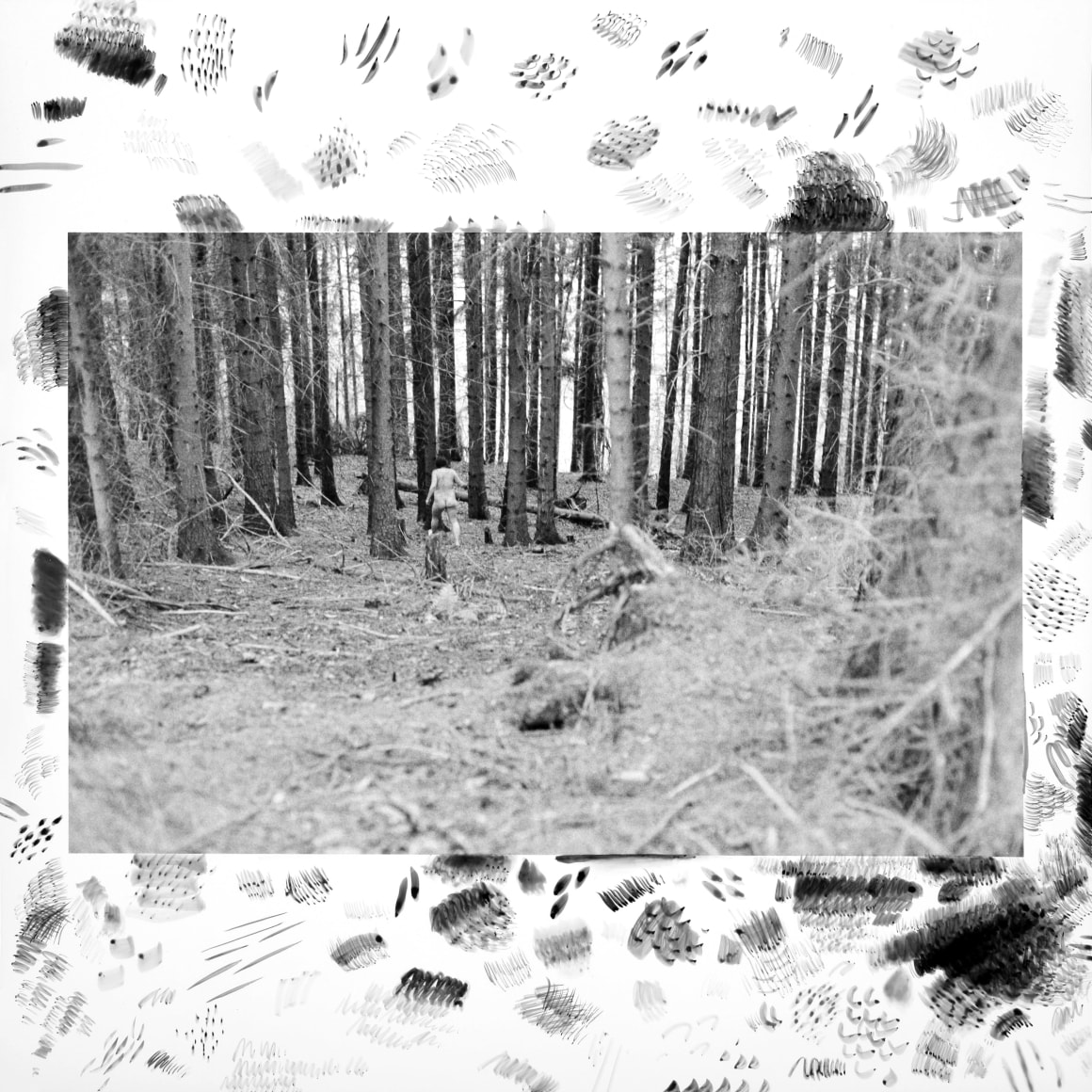 Hamann - l&auml;ufer 8