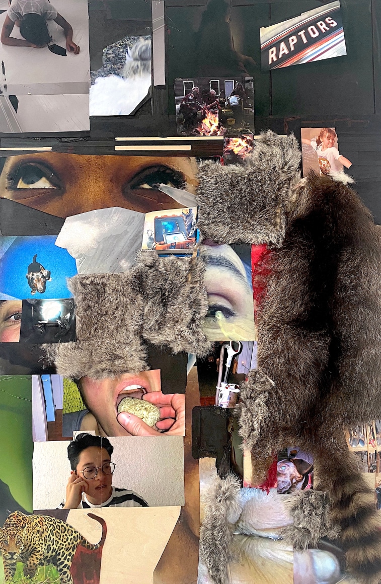 Dani (Leventhal) ReStack  Into Vapor When Heated, 2021  Photographs, video screenshots from "Future From Inside" by Dani + Sheilah ReStack, raccoon hide, opossum hide, fake fur, acrylic, and colored pencil on panel  101.6 x 76.2 cm / 40 x 30 in
