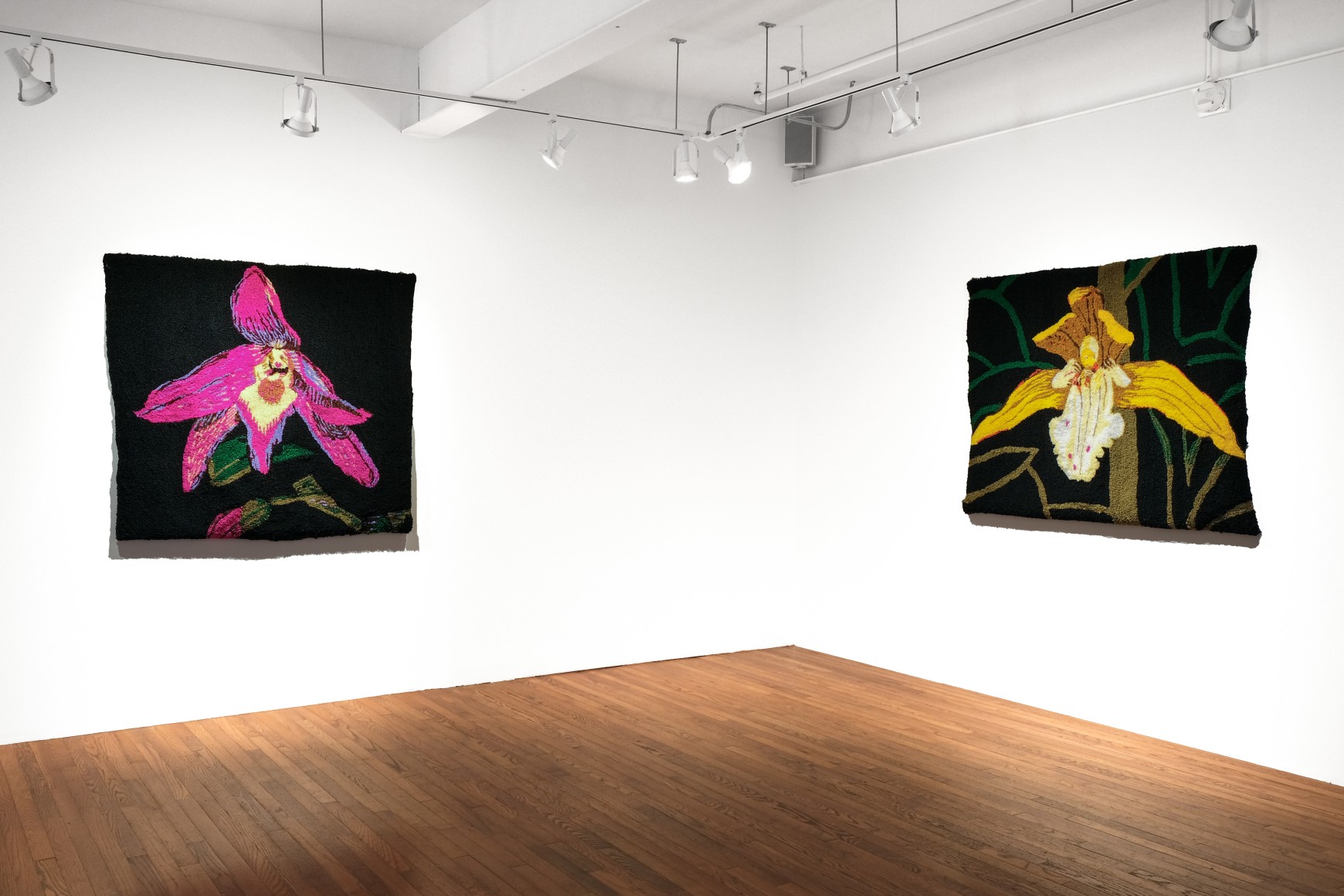 Kim Westfall installation views from solo exhibition "DMZ Orchids" at Gaa Gallery, Provincetown, MA