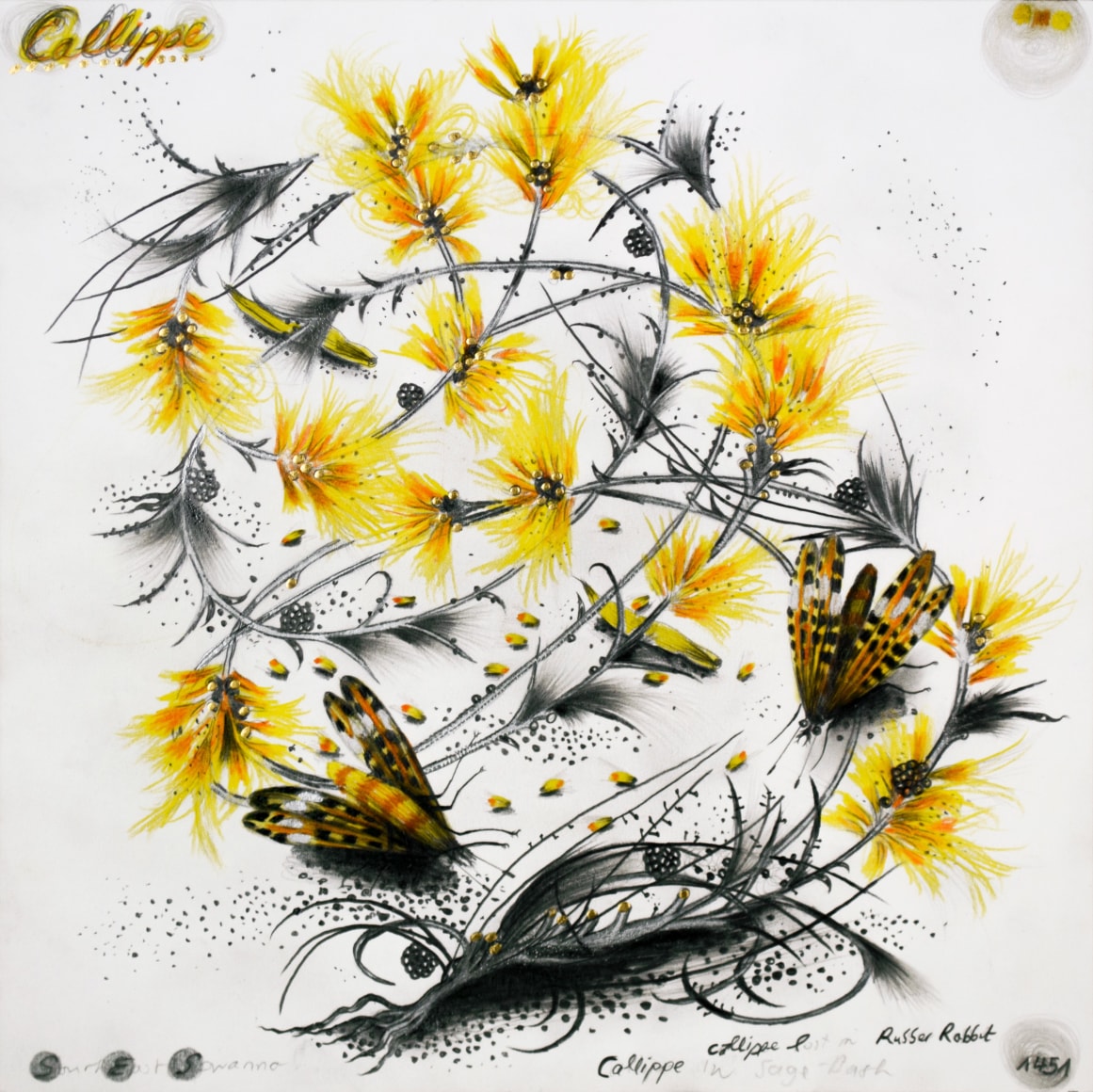 Hipkiss  Callippe Lost in Rubber Rabbit, 2023  Graphite, silver ink, metal leaf and colored pencil on Fabriano 4 paper.  25 x 25 cm | 9 3/4 x 9 3/4 in