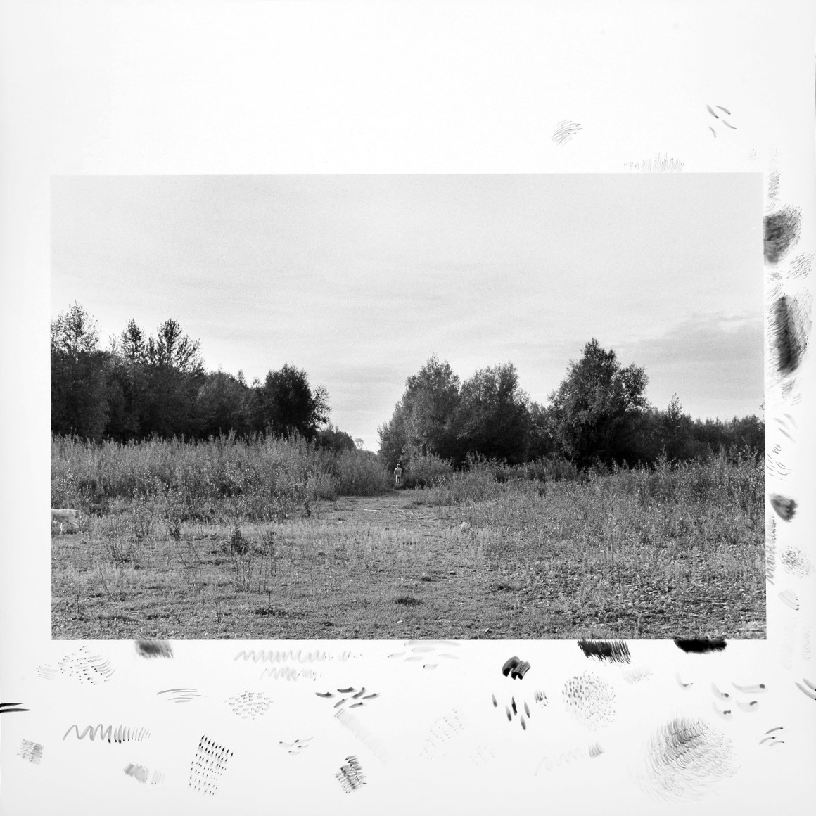 Hamann - l&auml;ufer 13