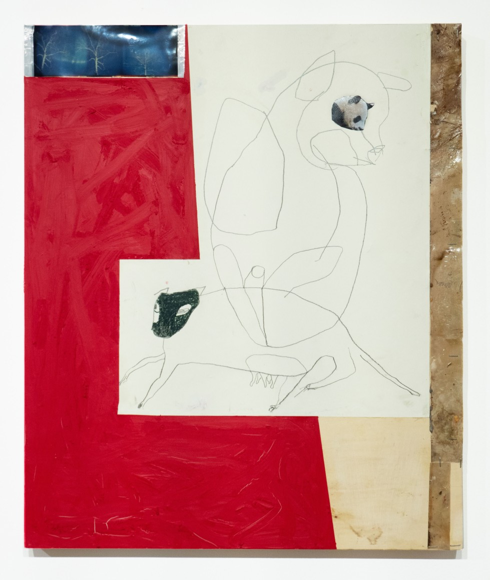 Dani (Leventhal) ReStack  Request for the Giant Panda, 2021  Photographs, graphite, colored pencil, and deer hide on panel  61 x 50.8 cm / 24 x 20 in