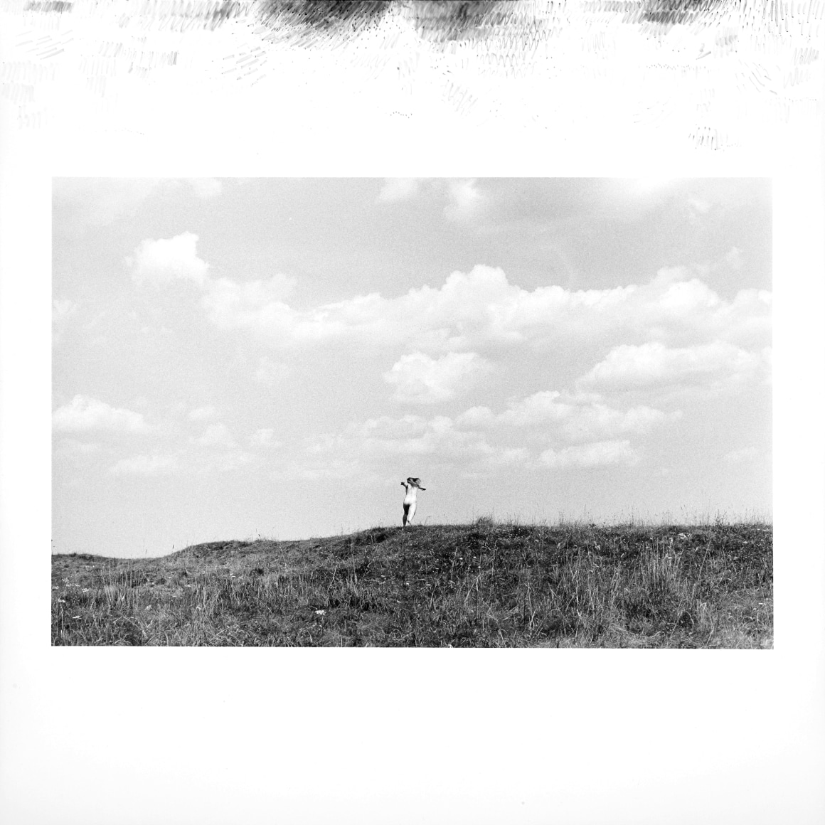 Hamann - l&auml;ufer 4