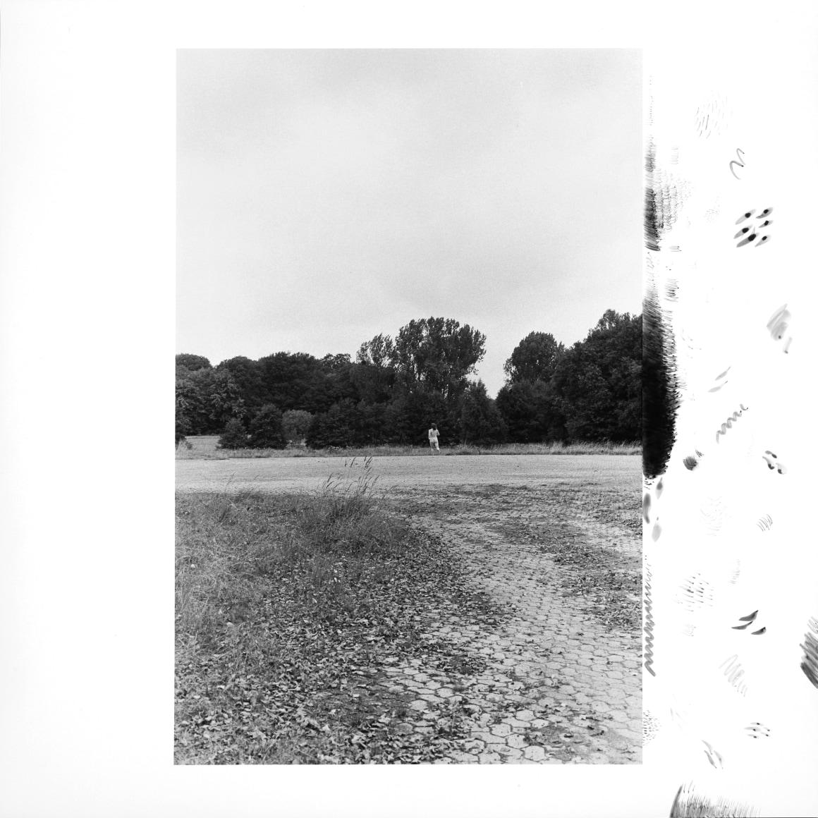 Hamann - l&auml;ufer 6