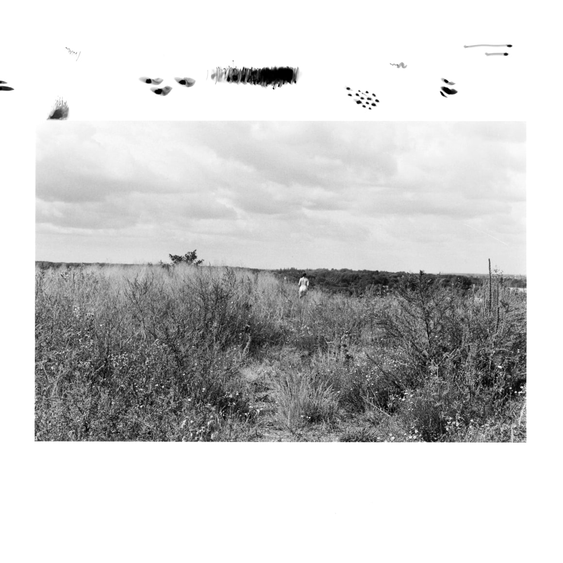 Hamann  - l&auml;ufer 2