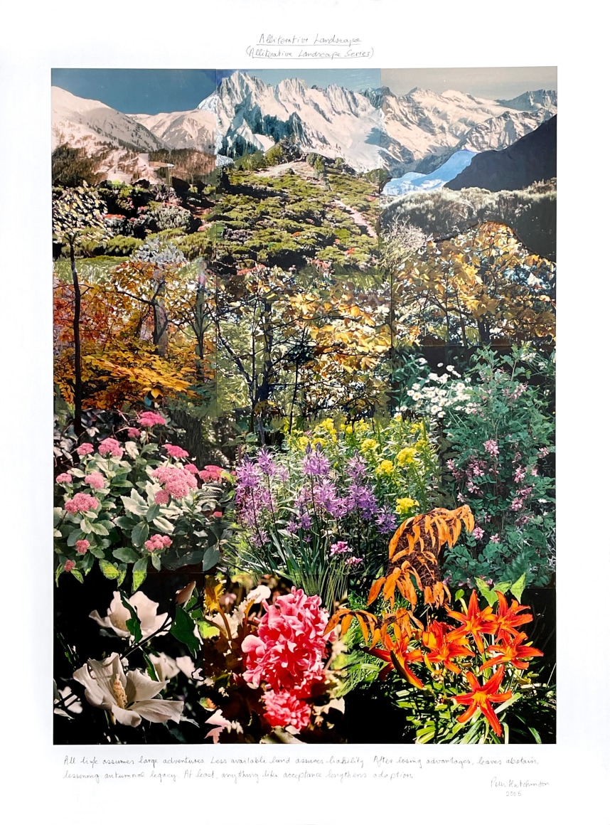 Peter Hutchinson  Alliterative Landscape (Alliterative Landscape Series), 2005  Photo-collage  101.6 x 76.2 cm / 40 x 30 in