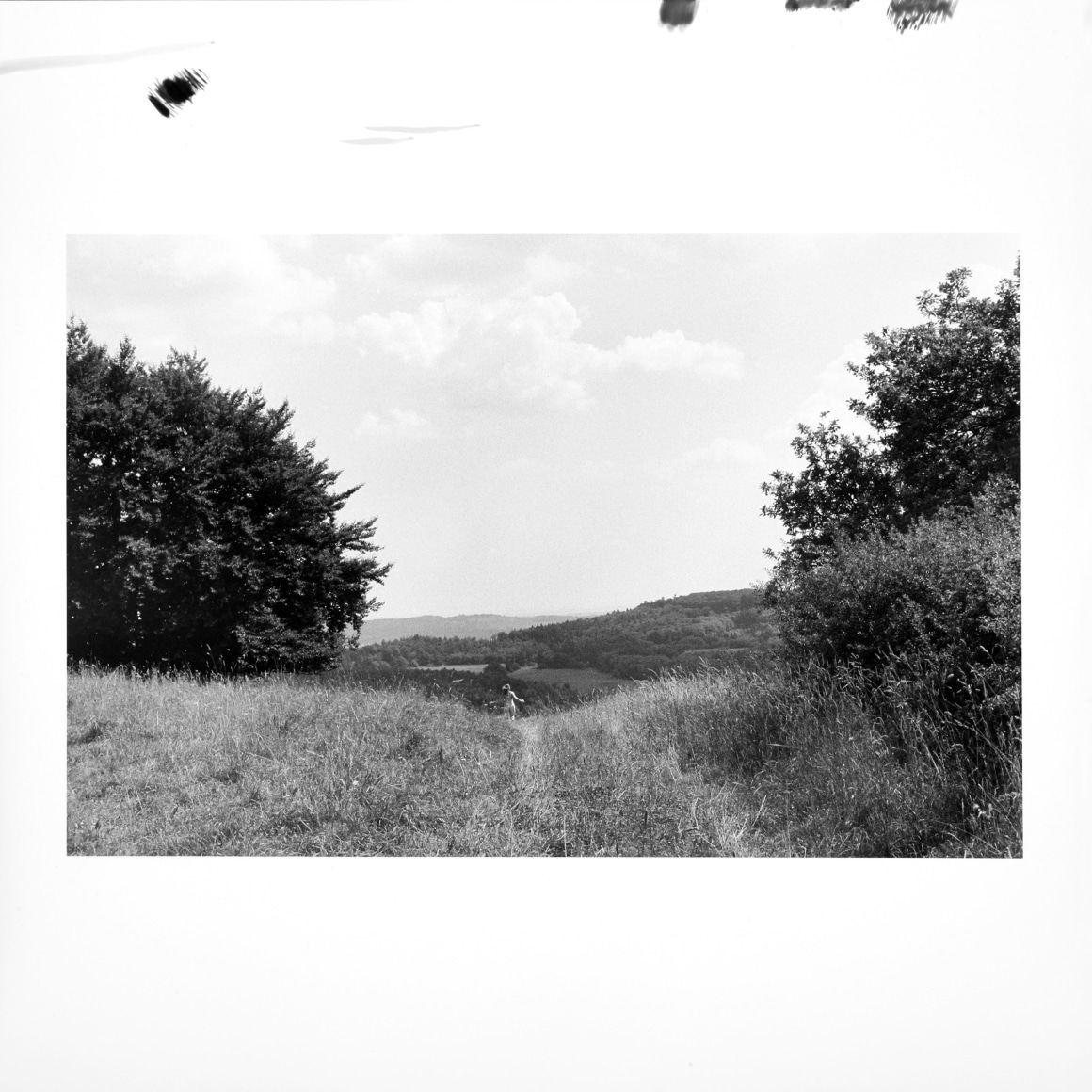 Hamann - l&auml;ufer 5