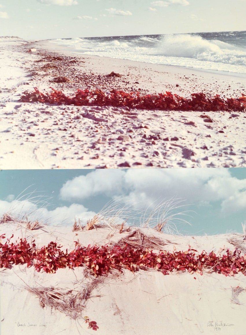 Hutchinson - Beach Sumac Line