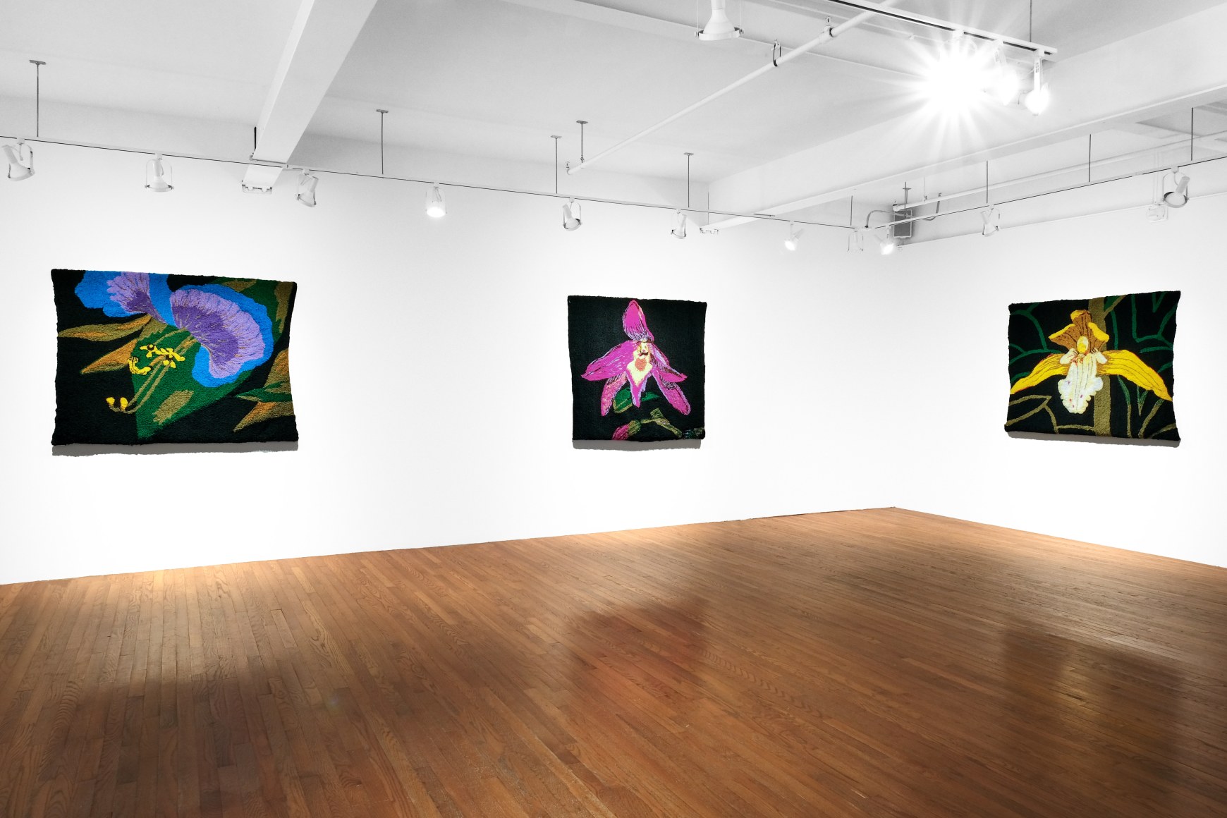 Kim Westfall installation views from solo exhibition "DMZ Orchids" at Gaa Gallery, Provincetown, MA