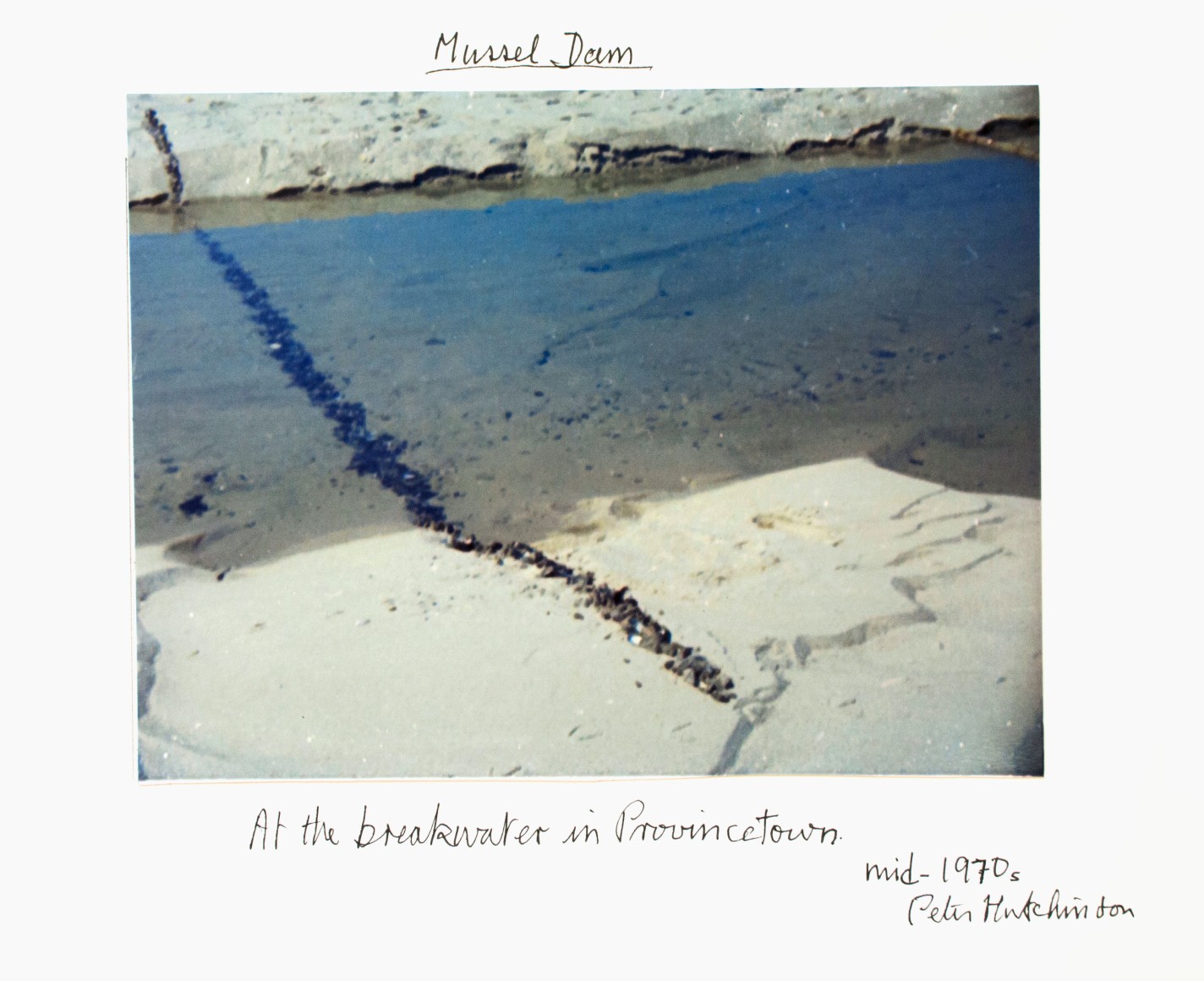 Hutchinson - Mussel Dam