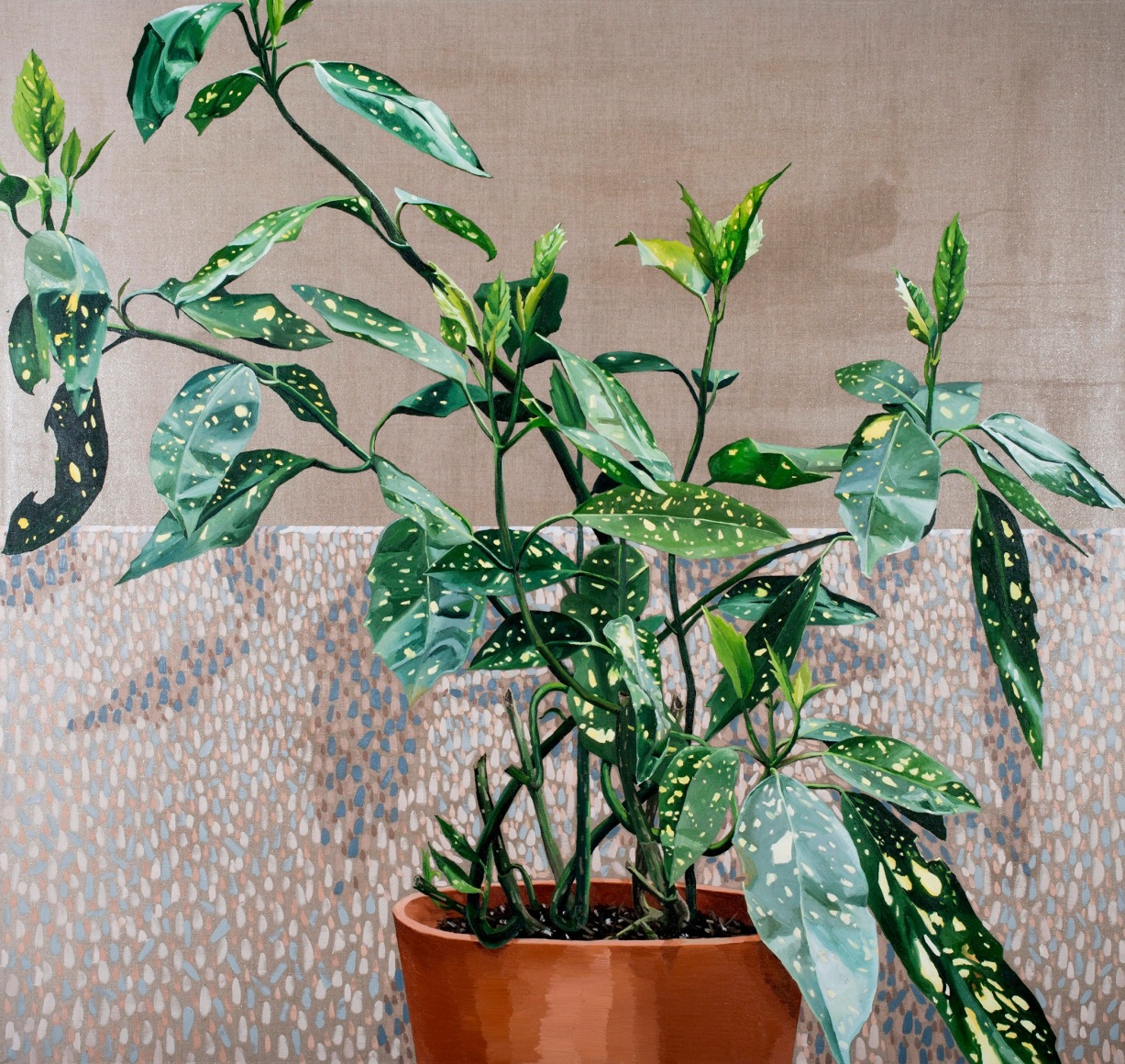 Russell - Climbing Croton