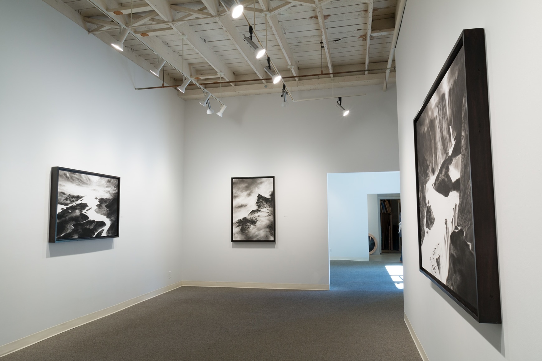 Abbott installation view May 2017