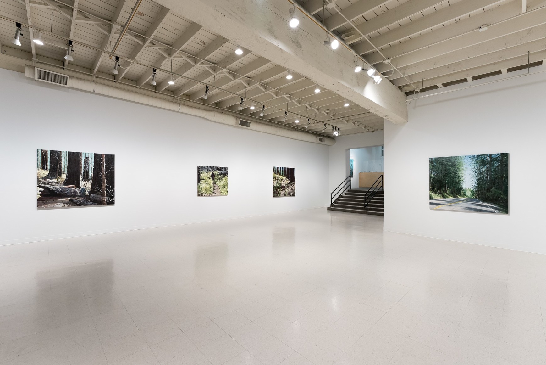 Michael Brophy | Passage | Installation View 01