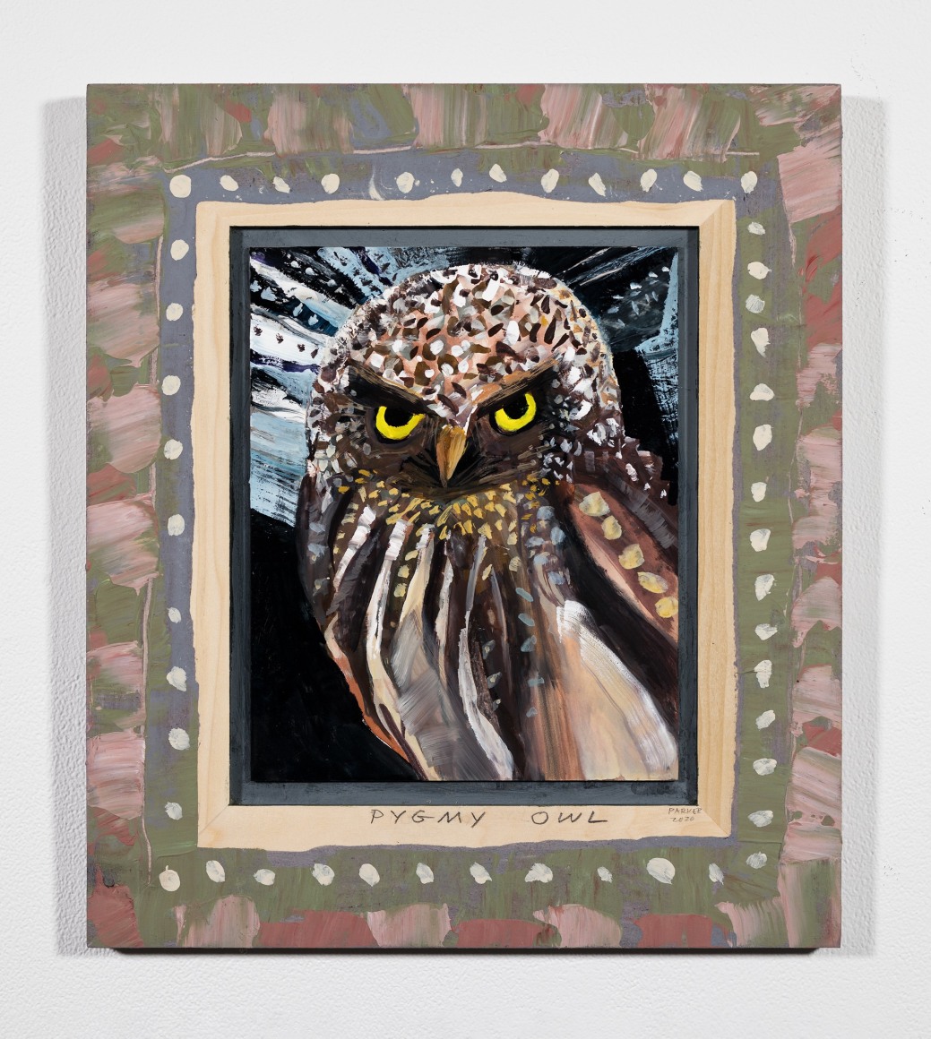 Lucinda Parker (b. 1942)  Pygmy Owl, 2020  gouache on masonite