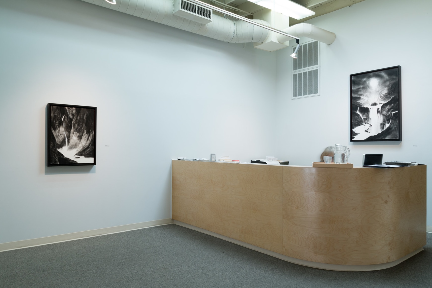 Abbott installation view May 2017