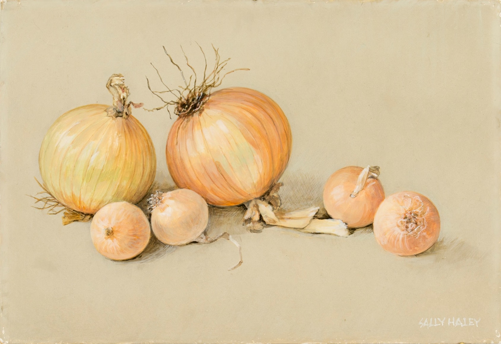 Sally Haley - Six Onions