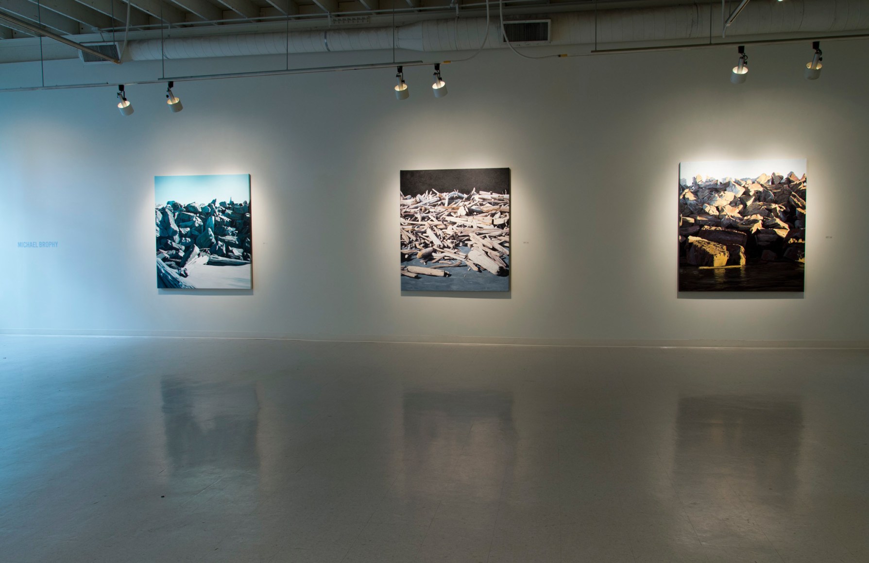 Michael Brophy at Laura Russo Gallery September 2014