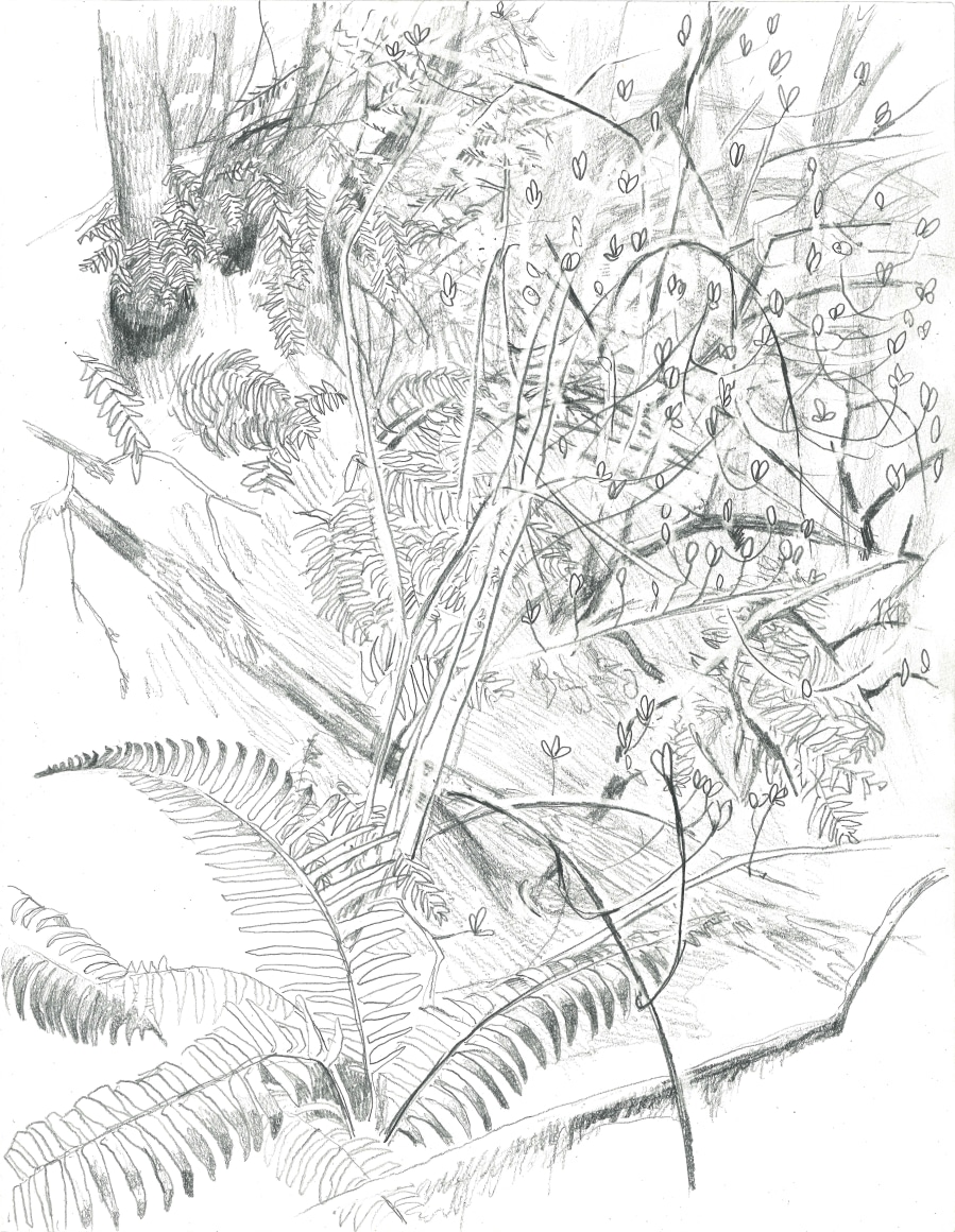 Russell - Forest Park Spring Buds